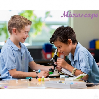 Microscope And Optics